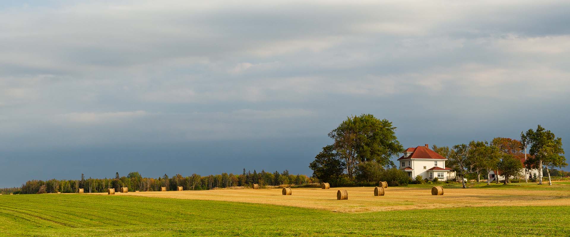An old hay barn with a page wire fence in the foreground